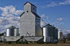 Virden area farm
April 2005